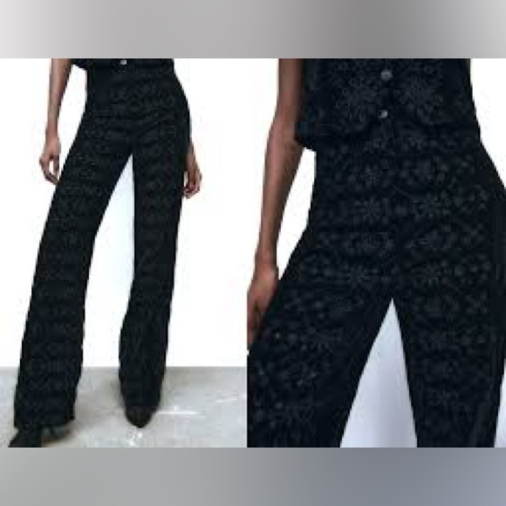 Zara Women’s Embroidered Eyelet Velvet Wide Leg High Rise Alina Pant - Size L